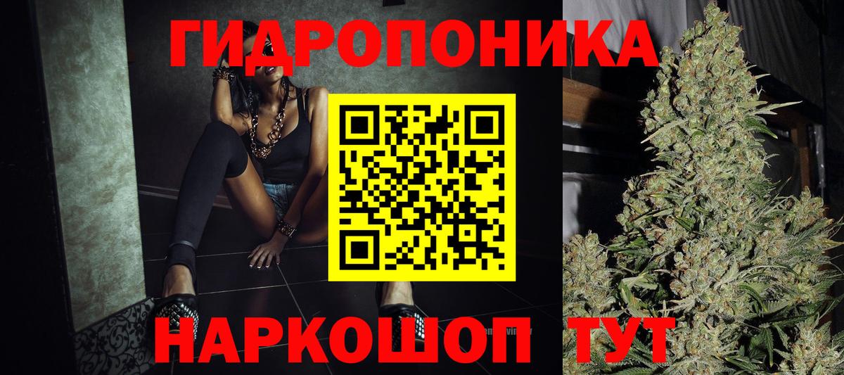 Канабис Ganja  Шишки марихуана планчик  Марихуана семена  Кимовск  Вход с VPN 